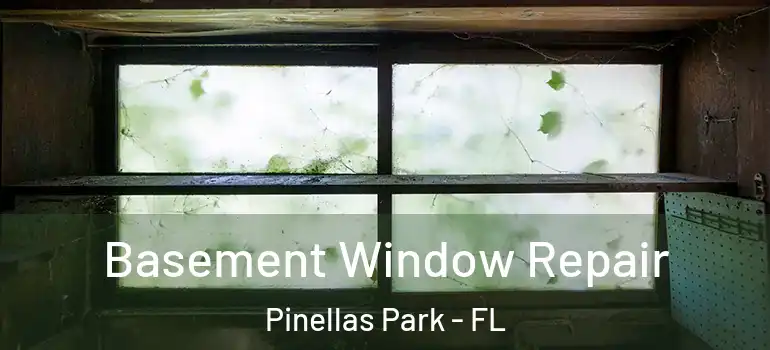  Basement Window Repair Pinellas Park - FL