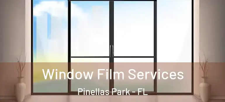  Window Film Services Pinellas Park - FL