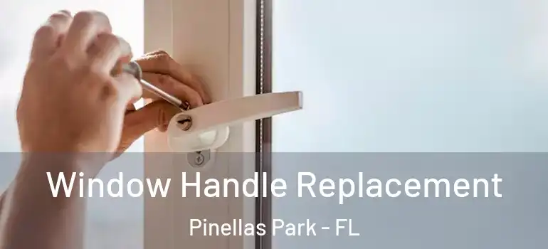  Window Handle Replacement Pinellas Park - FL